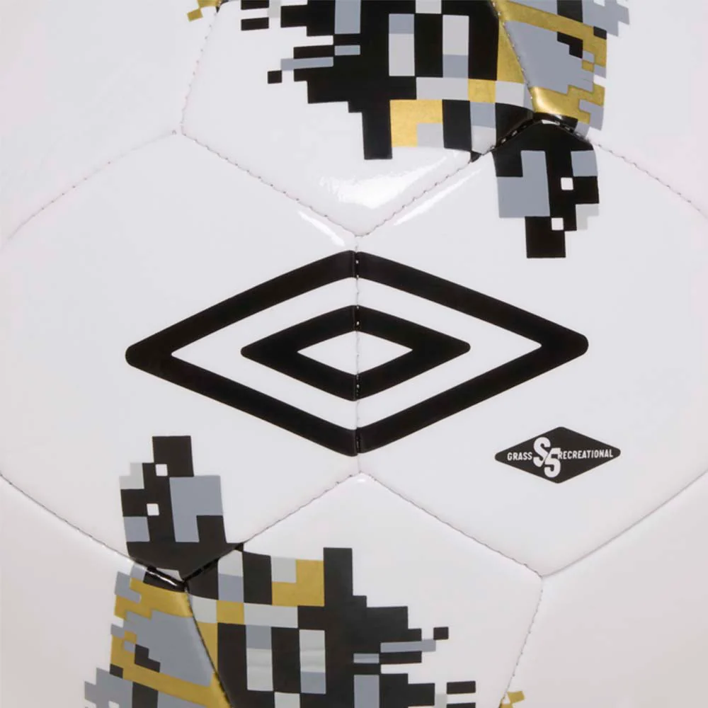 Formation Recreational - Image 3